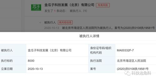 瓜子二手車成被執(zhí)行人，8000元執(zhí)行標(biāo)的牽出技術(shù)開發(fā)糾紛