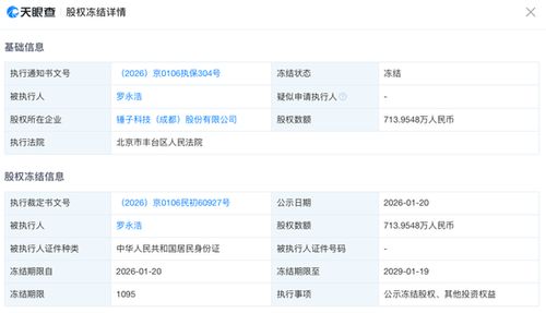 羅永浩股權(quán)被凍結(jié)背后 科技創(chuàng)業(yè)者的風(fēng)險(xiǎn)與反思